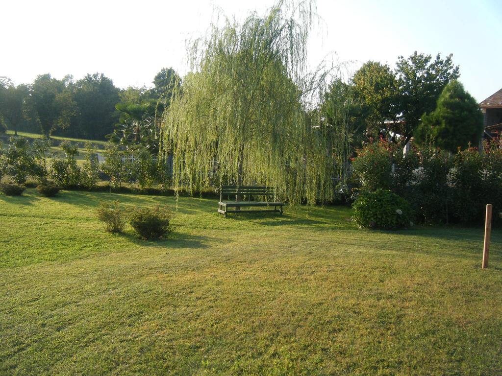 B&B Il Salice Veruno 외부 사진